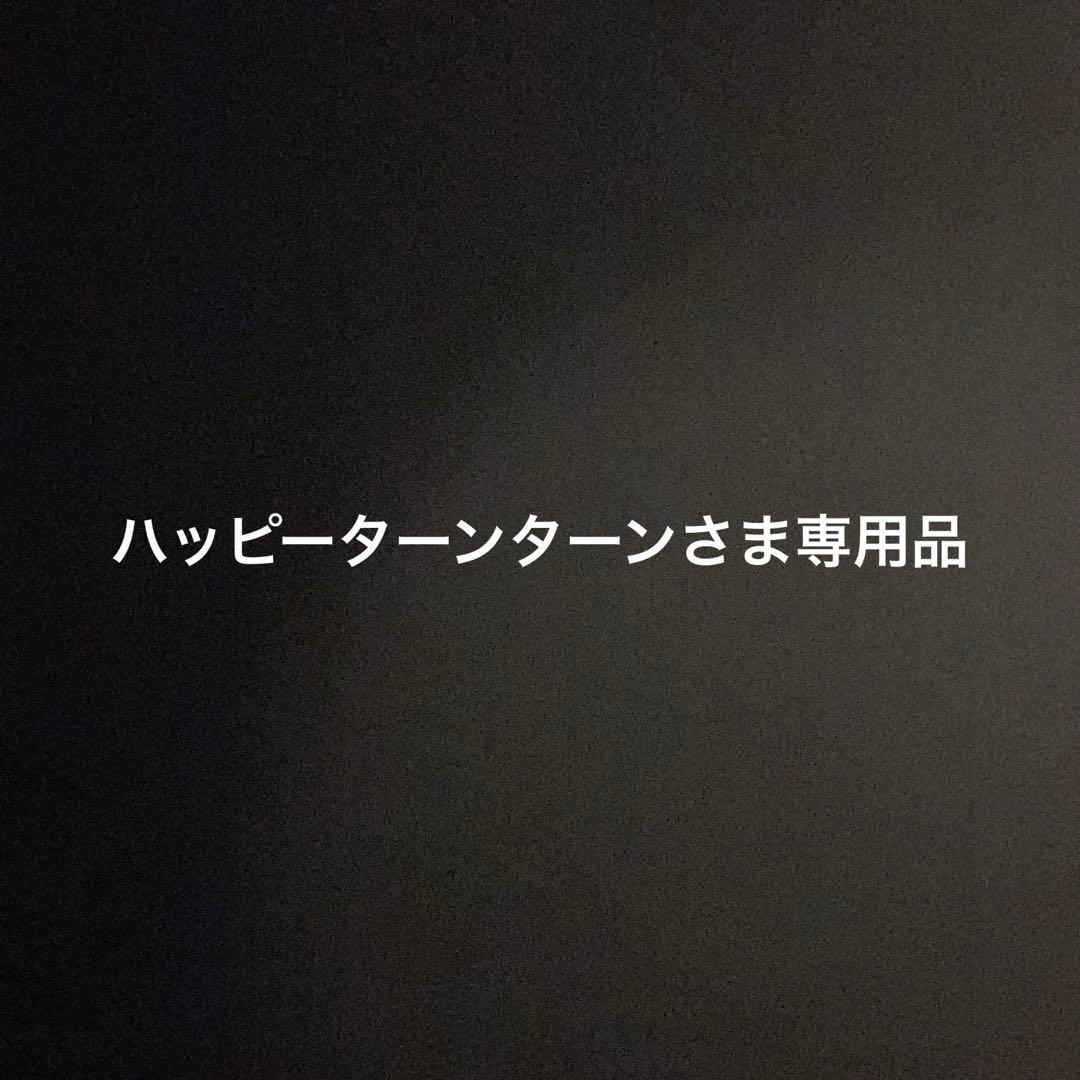 ハッピーターンターンさま専用品　バハギア　野原工芸　工房楔　こぶた　ダクト