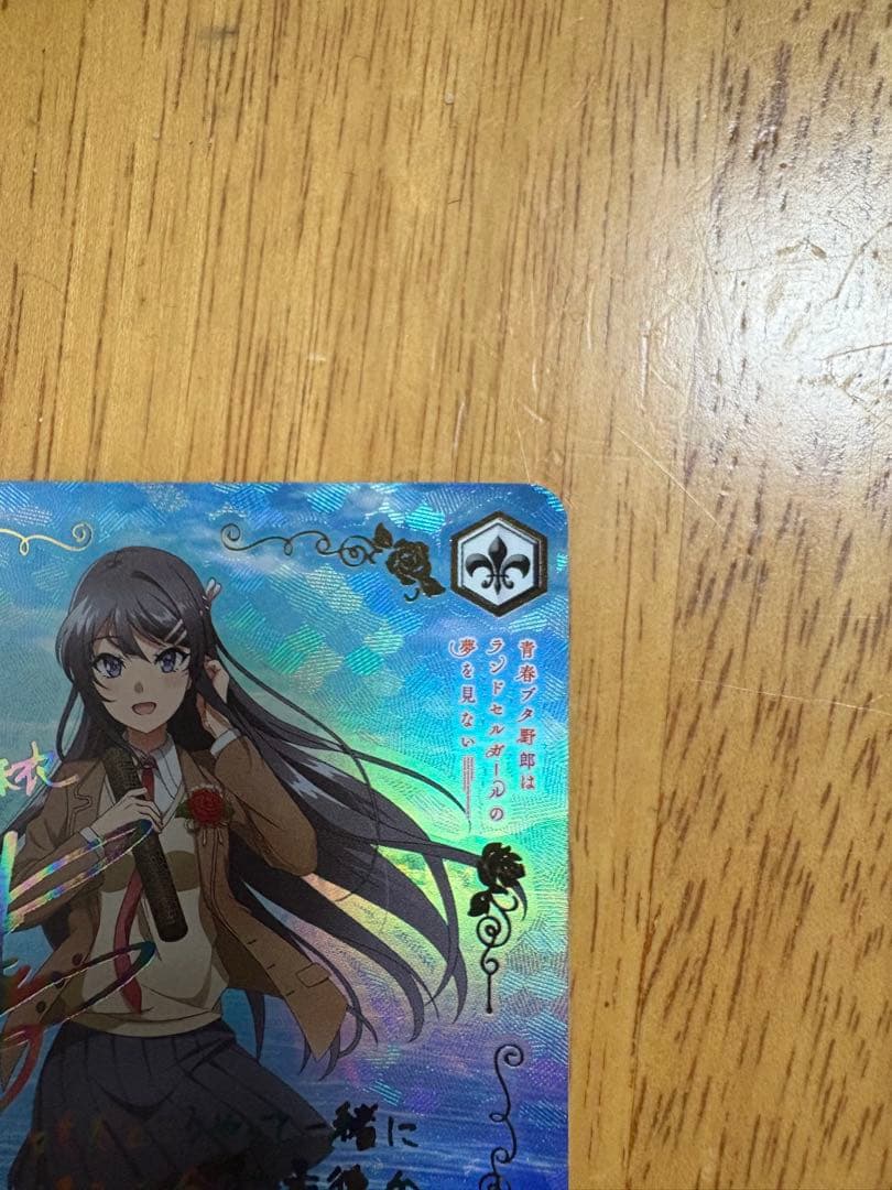 君と過ごした一年間 桜島麻衣ABR