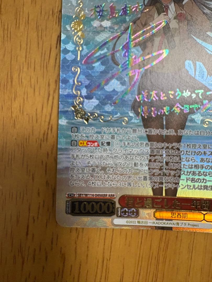 君と過ごした一年間 桜島麻衣ABR