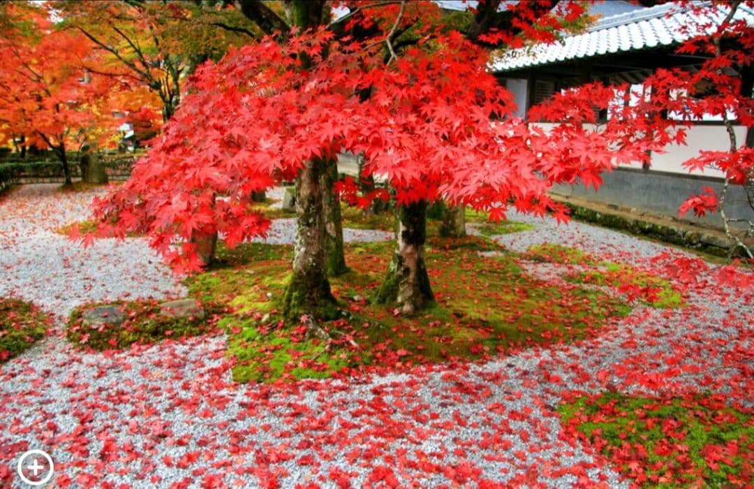 tsuribito.y.uchida様　　CANON　EOS 30D 初心者