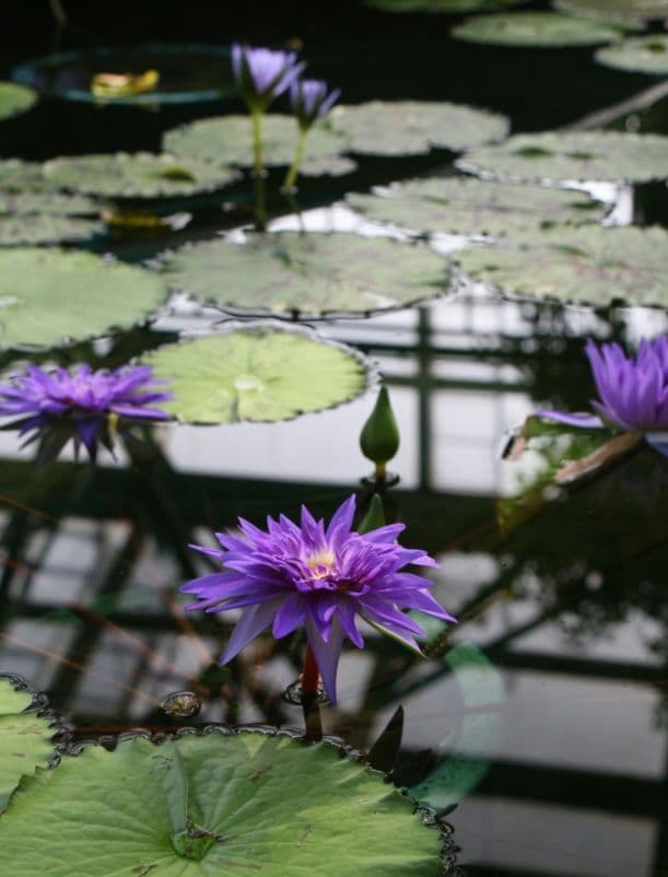 tsuribito.y.uchida様　　CANON　EOS 30D 初心者