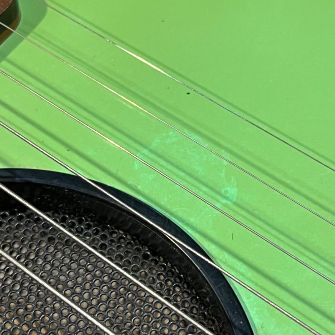 FERNANDES ZO-III グリーン系 専用ケース付