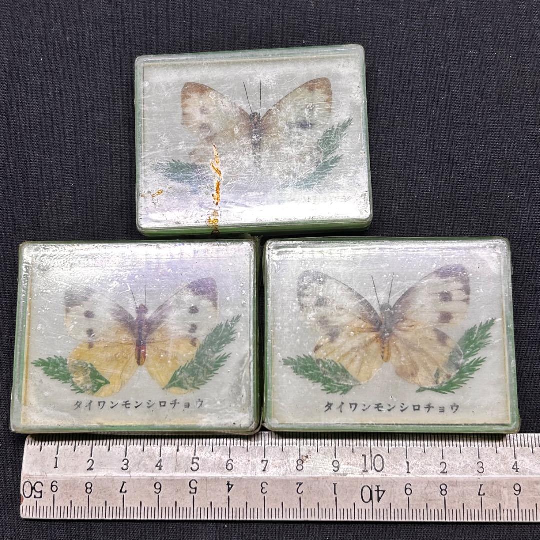 ▽Ca右318▼ レア パチンコ 特殊景品 昆虫 標本 蝶 蛾 14点まとめ
