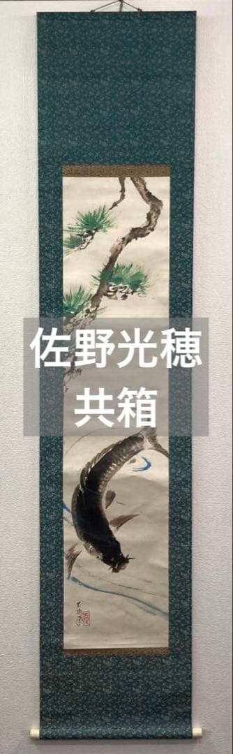 佐野光穂／菊池契月・富田渓仙師事「松鯉」掛軸 紙本 共箱