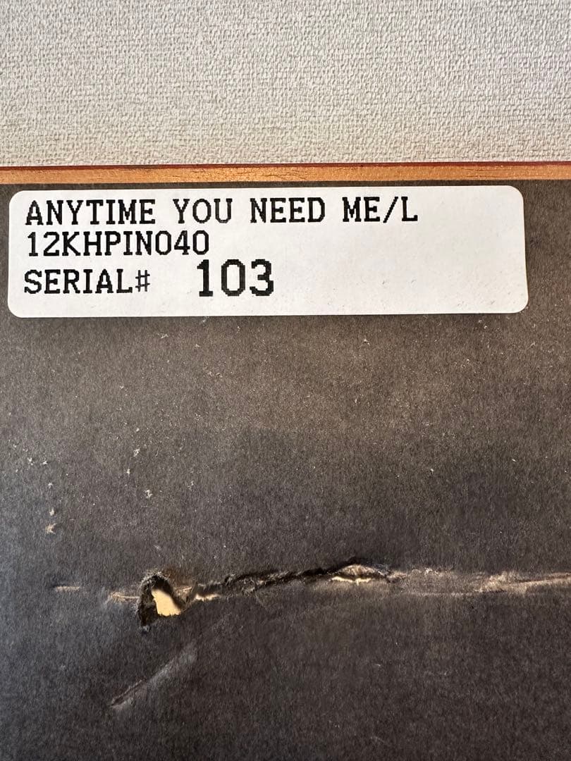 ピノキオ 「エニータイム ユー ニード ミー」 セル画 限定３５０枚