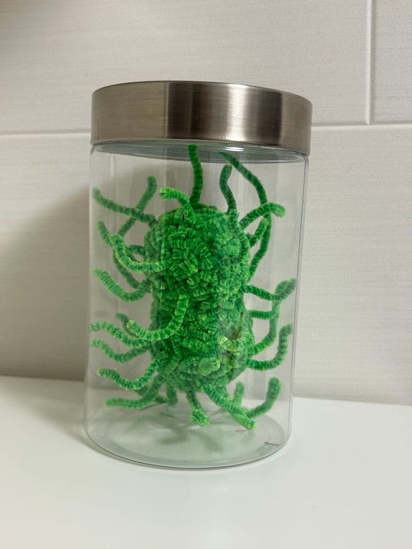 フジサキタクマ MOGOLS MORLEY Fujisaki takuma