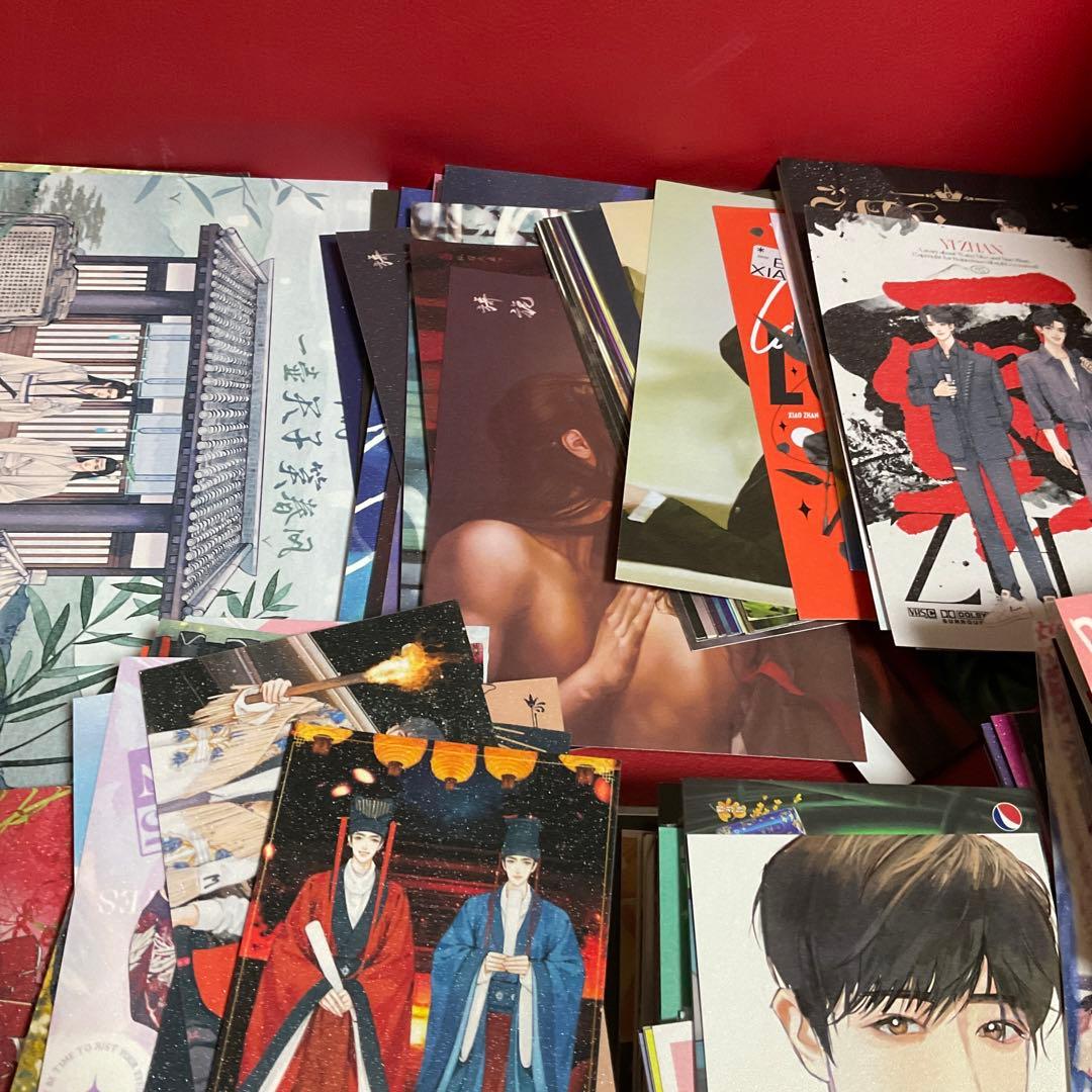 博君一肖 王一博肖戰　肖战  550枚カード 陈情令忘羡