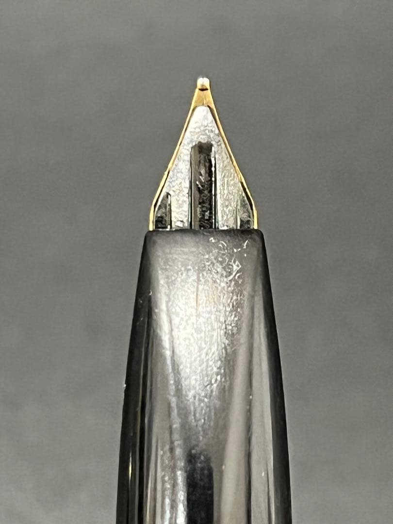 【ペン先18K】PLATINUM万年筆 太字2点セットブラック/ゴールド