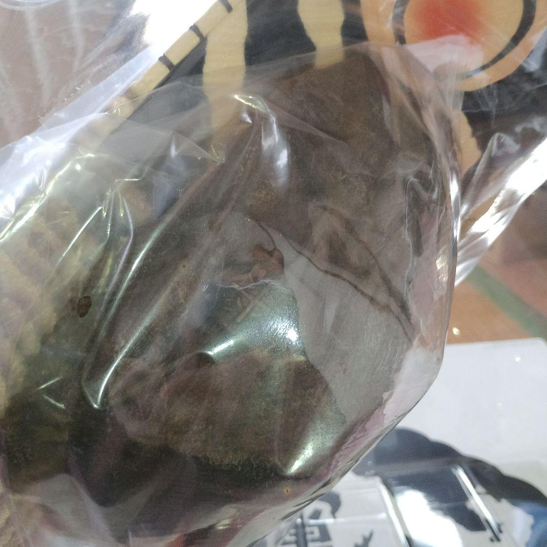 東宝大怪獣シリーズ　モスラ（1961年版）