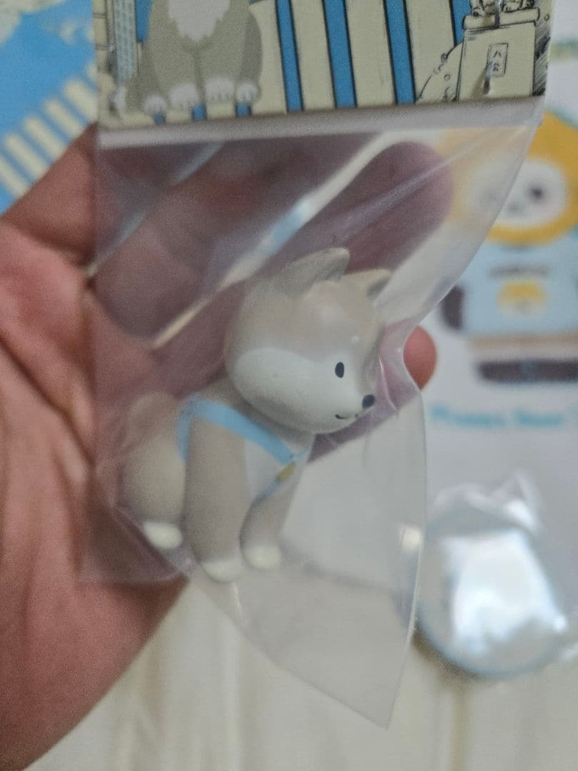 プラネットベア 渋谷 イベント PanPan and Friends