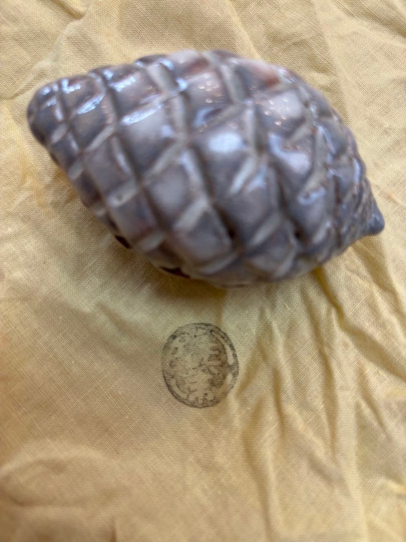 茶道具　萩焼　松実　香合　十二代田原陶兵衛作