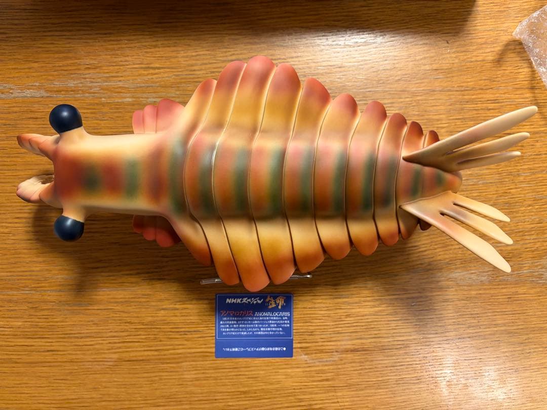 アノマロカリス　「NHK 生命 40億年はるかな旅」復元モデル