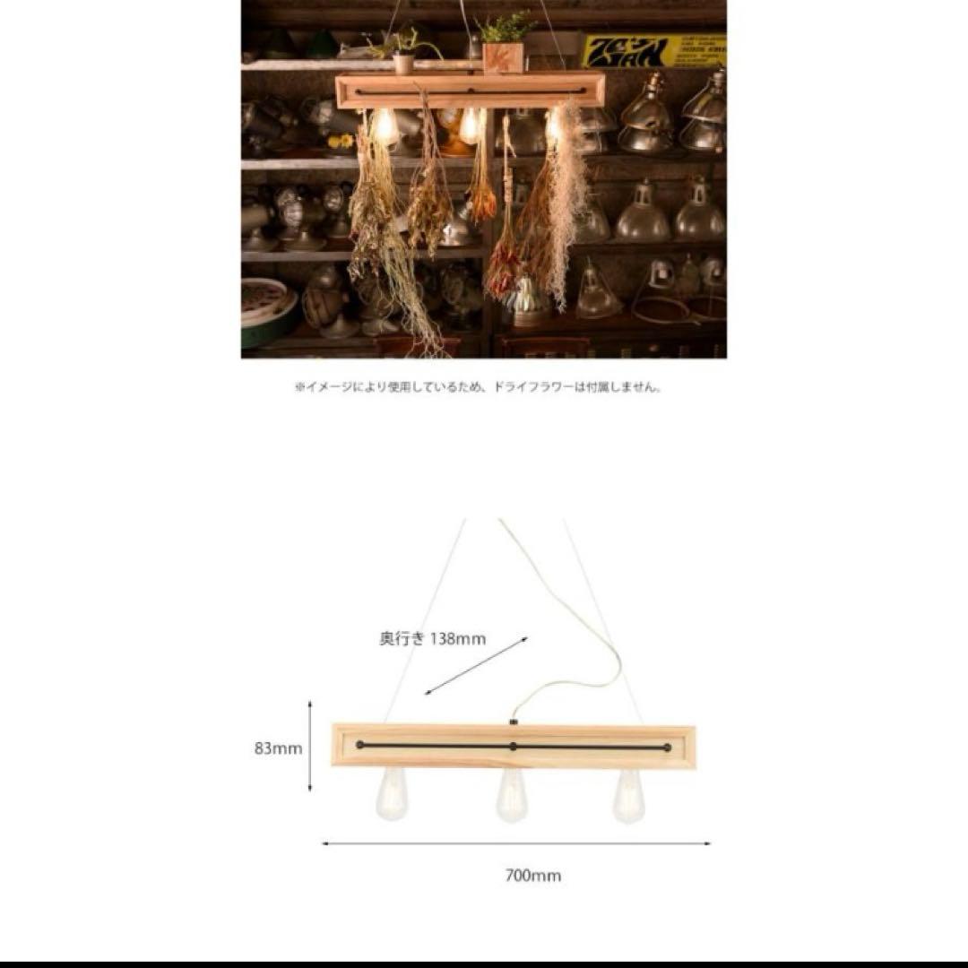 【定価30000】ペンダントライト APE-700NA スワン　BOTANIC