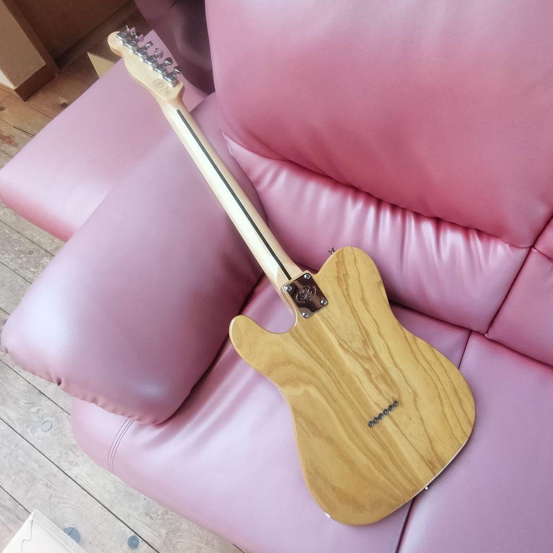 SX （Fender Telecaster Thinline Type）