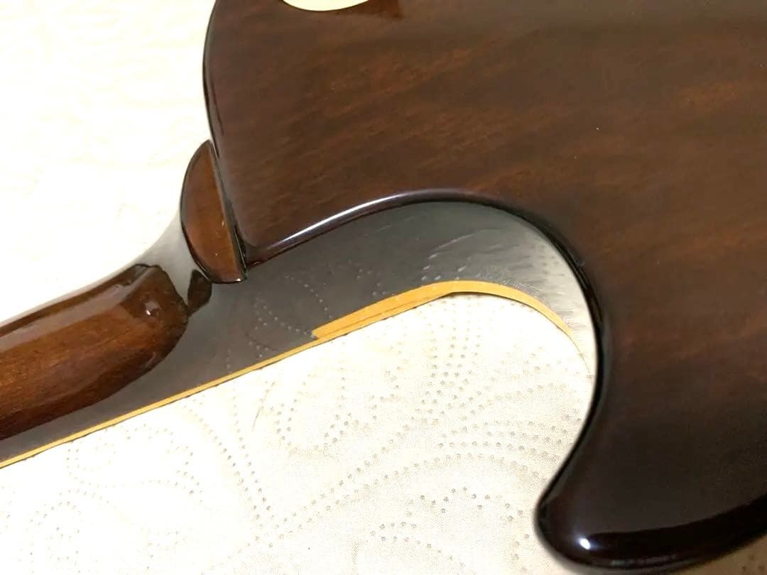 Aria ProⅡ LesPaul Standard LS-400 ハードケース