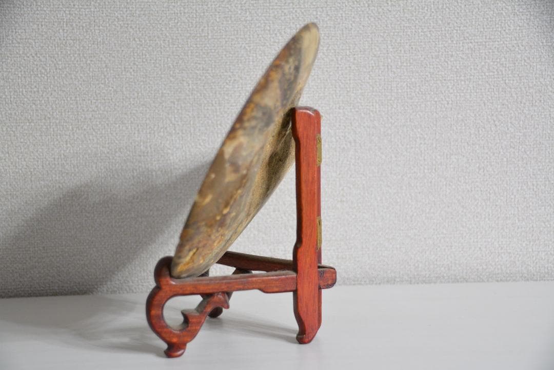 アンモナイト 化石 標本 鑑賞石 オブジェ●学術用・本物