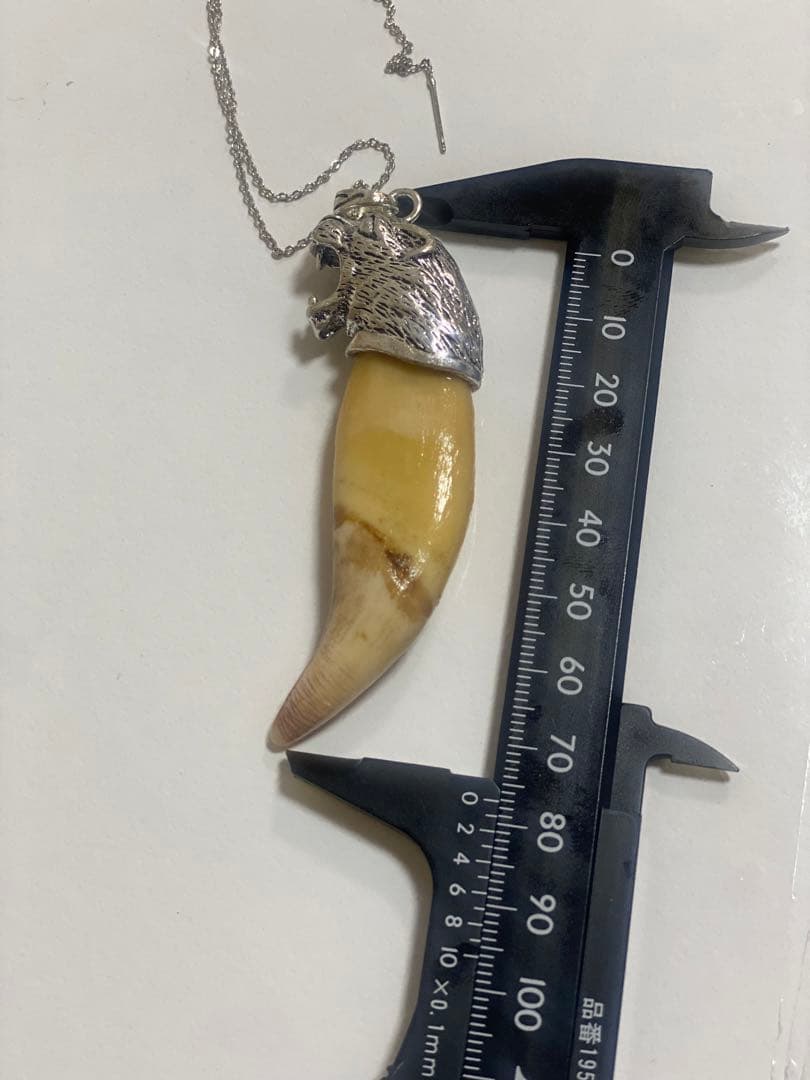 熊牙　熊歯　熊の牙　ネックレス　キーホルダー　新作　送料無料