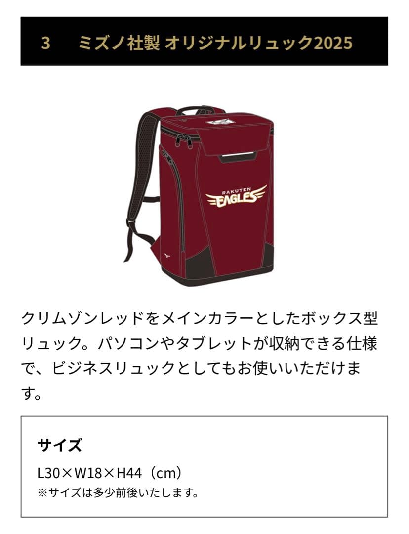 楽天イーグルス　オリジナルリュック2025 ファンクラブ特典　ミズノ社製