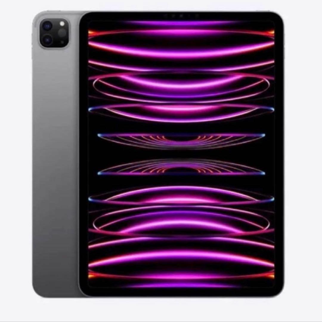 【超美品】iPad Pro11インチ512GB Wi-Fi+Cellular