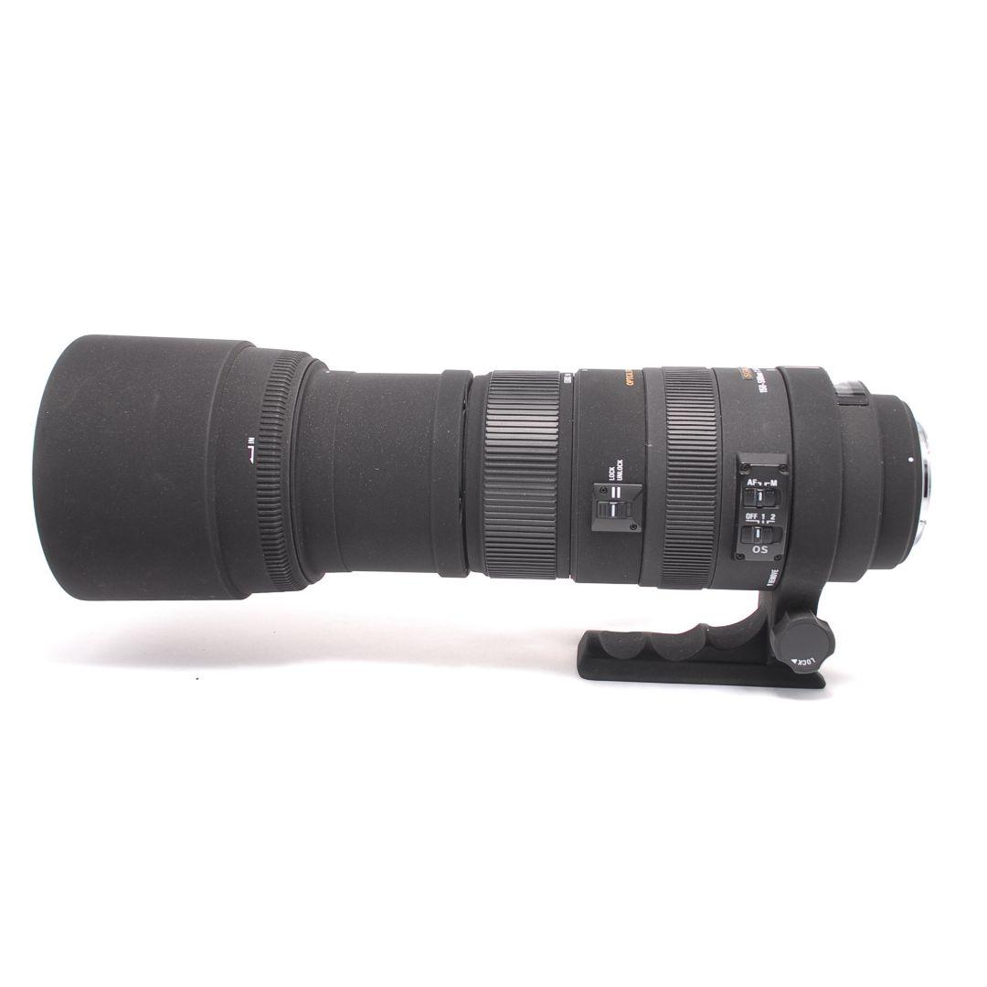 ❤即購入1000円OFF❤ SIGMA 150-500mm DG OS HSM
