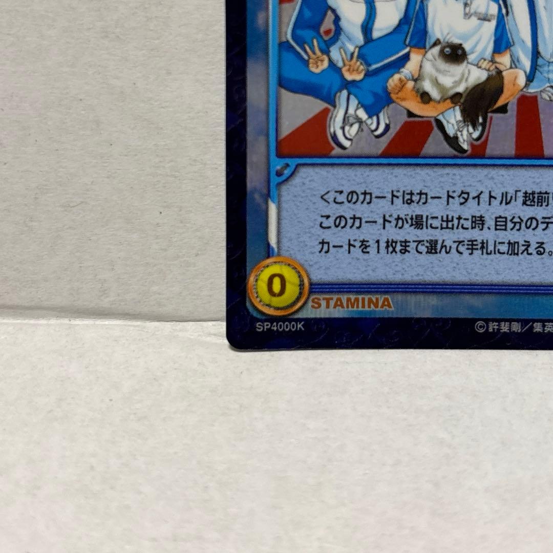 テニスの王子様☆2000種類突破記念☆シークレットレア特殊加工 青学 テニプリ