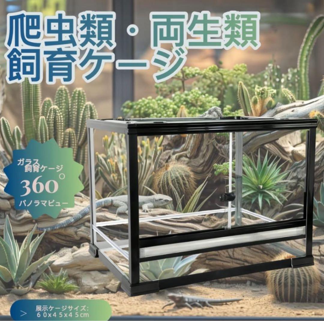 自社製 組み立て式 爬虫類両生類飼育ケージ、ガラス飼育ケージ60x30x30cm