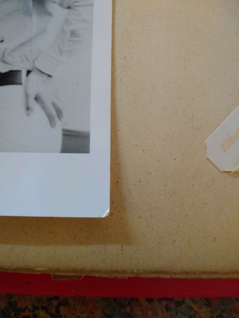 激レア！ザ・タイガース、沢田研二の生写真２枚