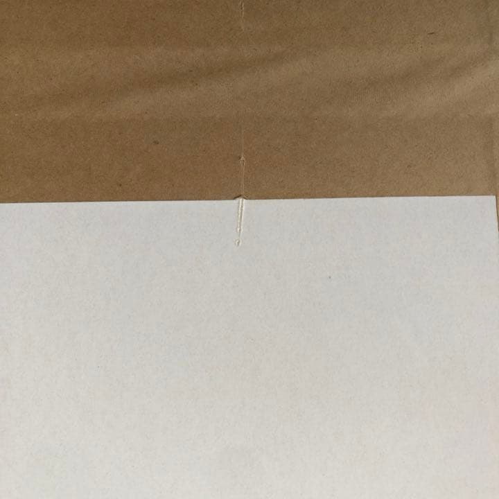 ファン必見。マイクタイソンのポスター