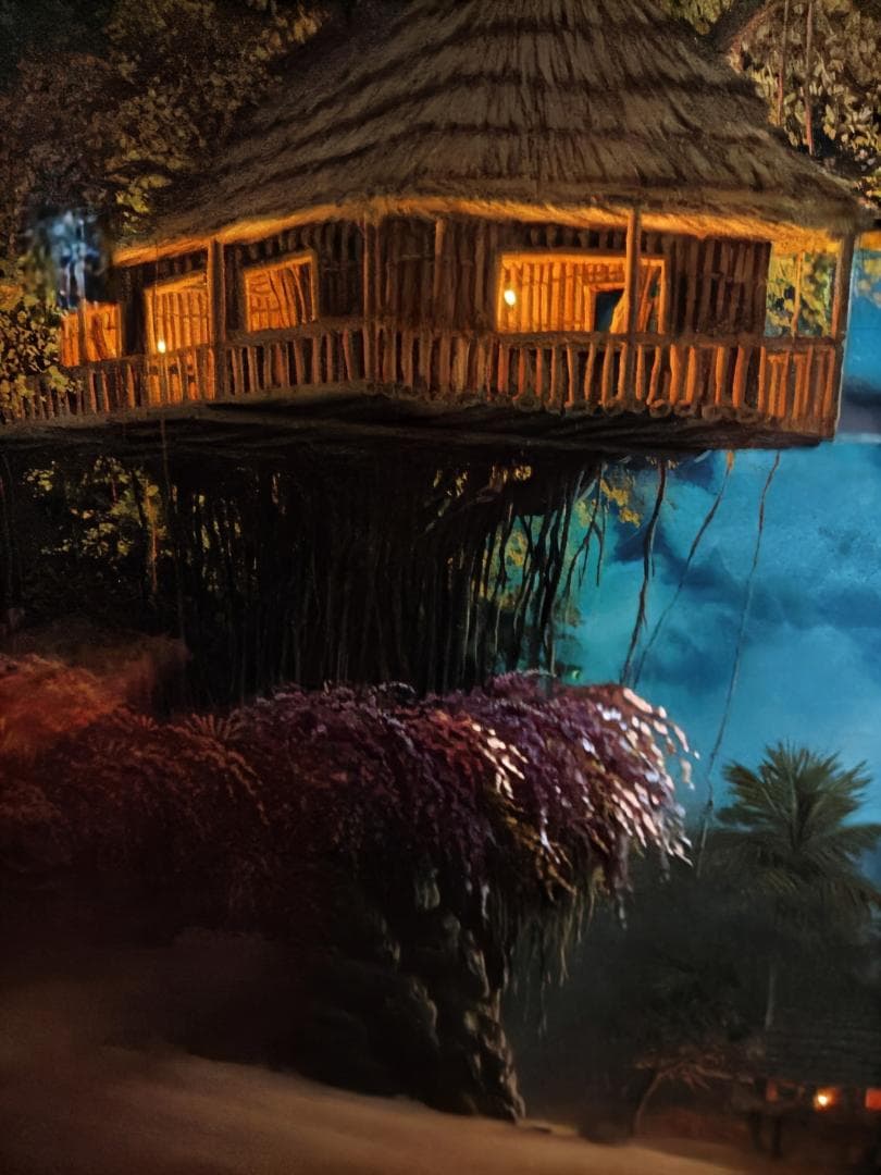 ジョン・アルホーグ / 『バニヤン・ムーン』 ダイヤモンド・手彩入り