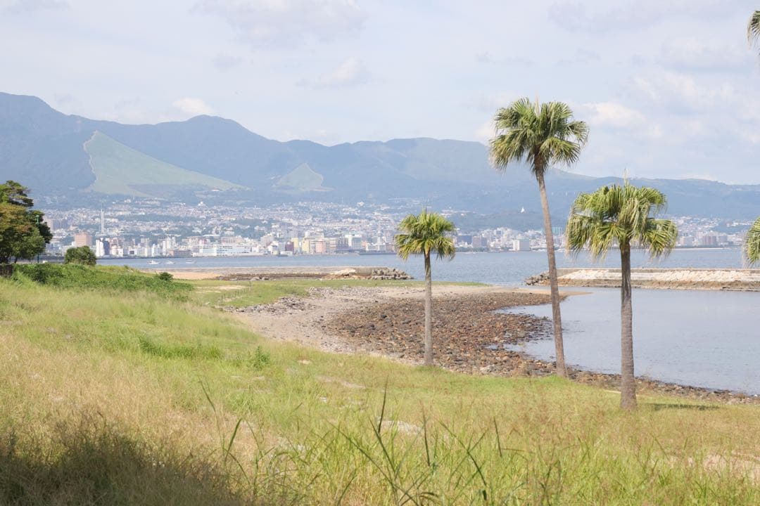 ★ OLYMPUS M-1 + \"M-SYSTEM\" 標準レンズレンズ 50mm