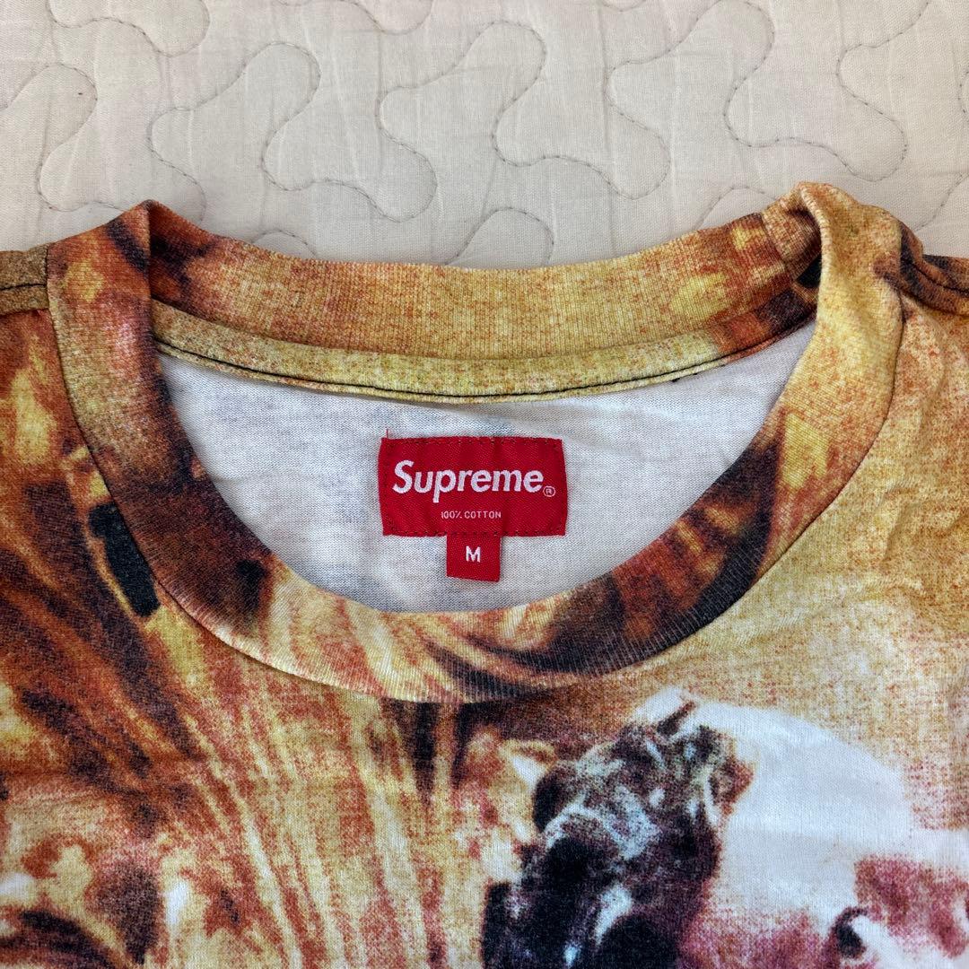 Supreme - 19ss Putti Tee Mサイズ
