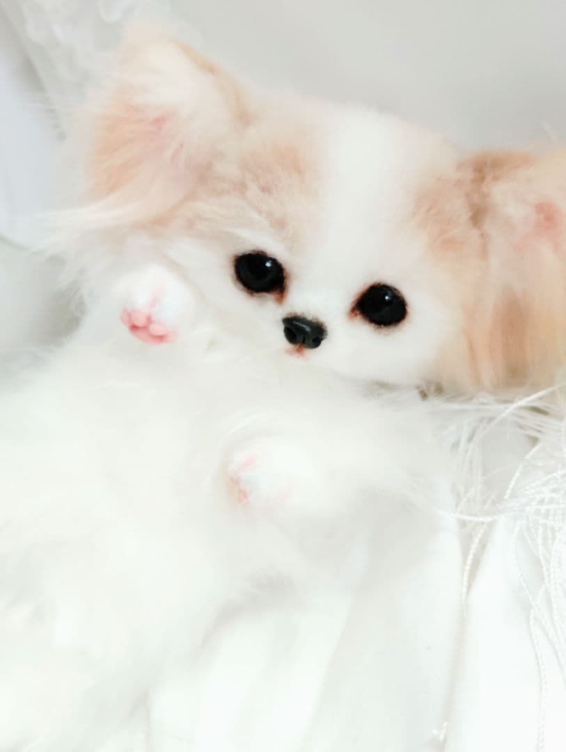 小雪様❤オーダー❤愛犬チワワちゃん❤アートドール♡ぬいぐるみ♡