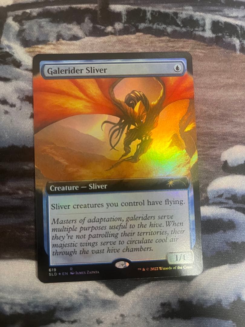 風乗りスリヴァー　foil