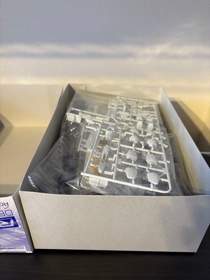 RG デスティニー チタニウムフィニッシュ 、デスティニーインパルス、光の翼