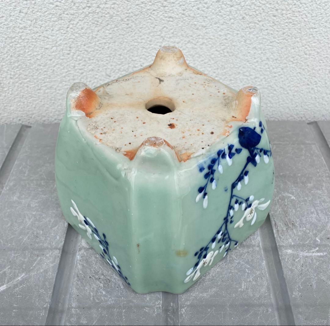 尾張焼 瀬戸焼 青磁 梅柄 角形 盆栽鉢 盆栽 植木鉢