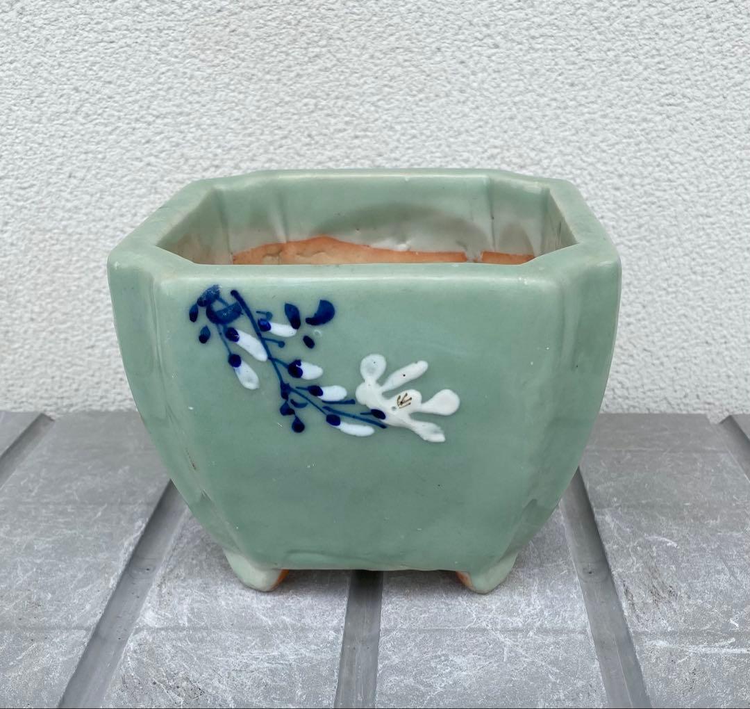 尾張焼 瀬戸焼 青磁 梅柄 角形 盆栽鉢 盆栽 植木鉢