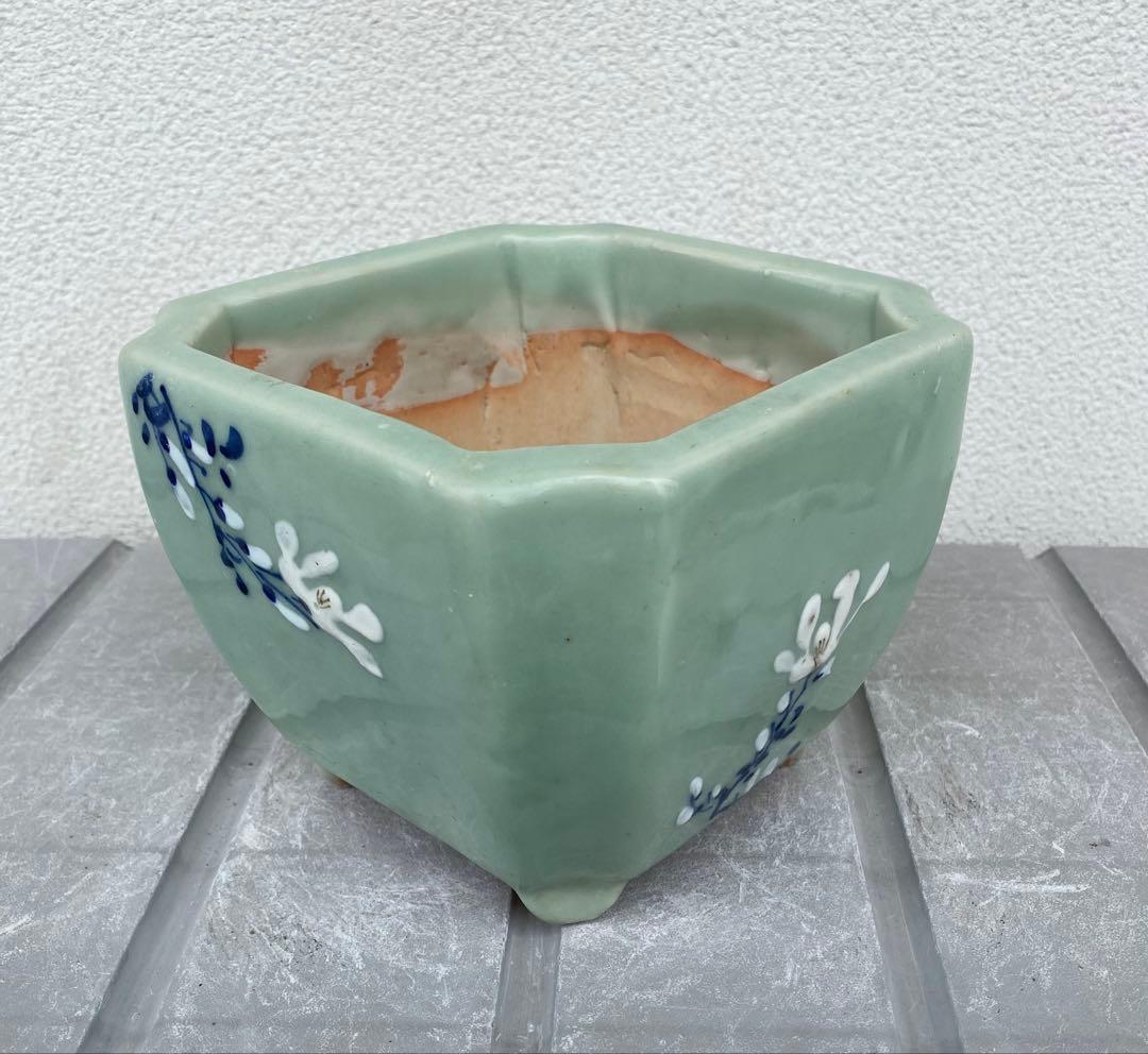 尾張焼 瀬戸焼 青磁 梅柄 角形 盆栽鉢 盆栽 植木鉢
