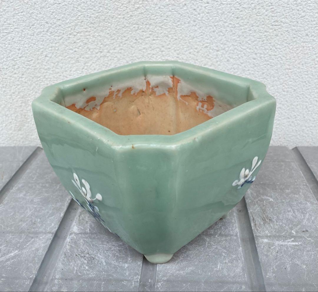 尾張焼 瀬戸焼 青磁 梅柄 角形 盆栽鉢 盆栽 植木鉢