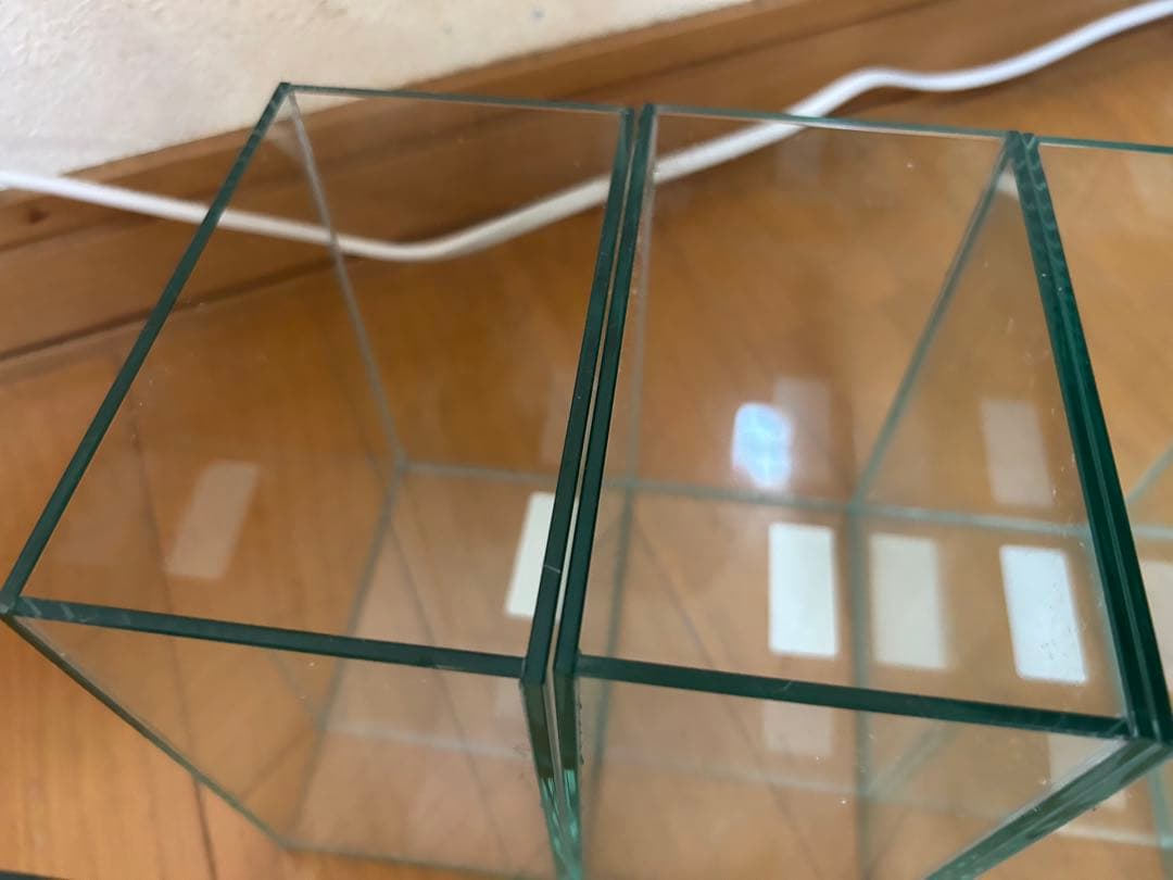 ベタ　コレクションケースM 12個