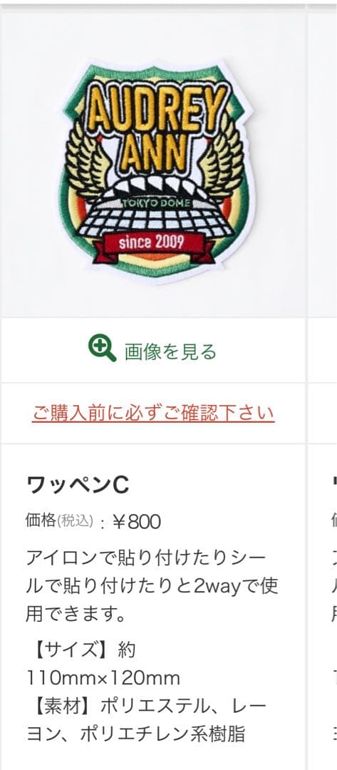 オードリーのオールナイトニッポンin東京ドーム　スタジャン 黒XL、ワッペン３つ