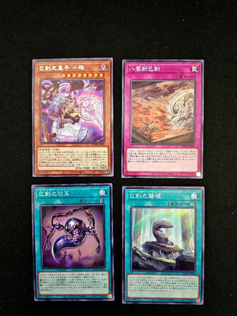 遊戯王 【本格構築‼️】巳剣 ライゼオル 構築済みデッキ‼️ 大会 下準備