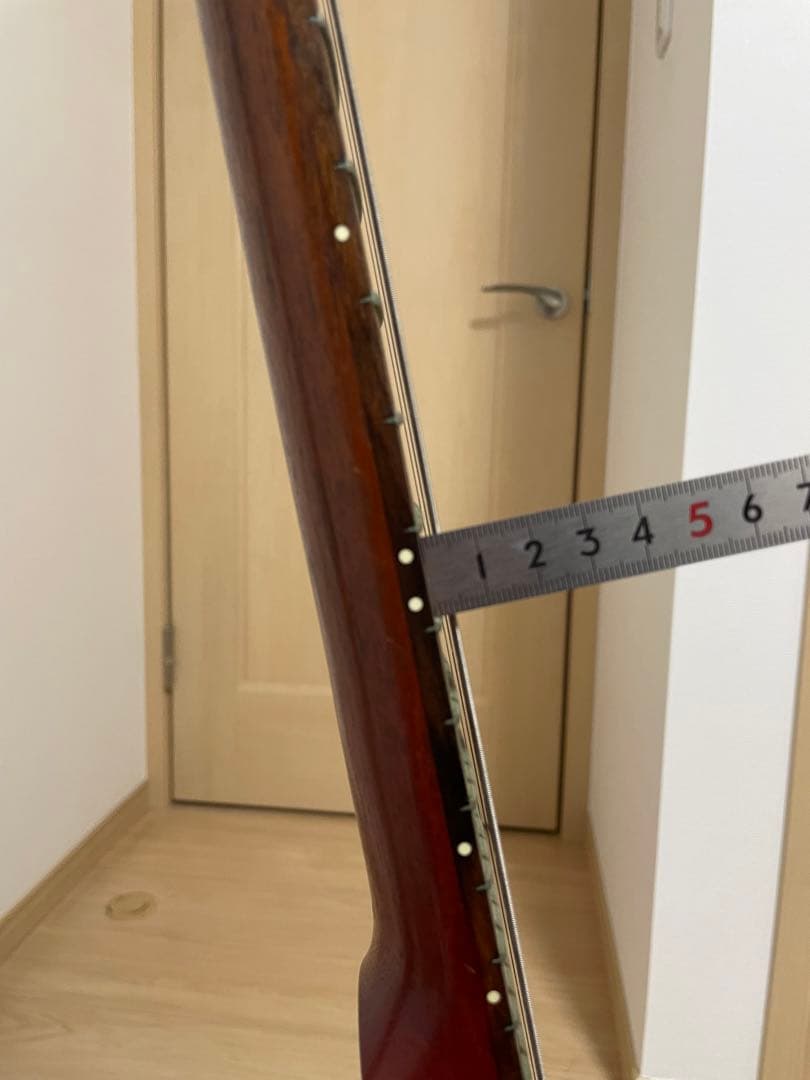 Gibson SG （ソフトケース付き）