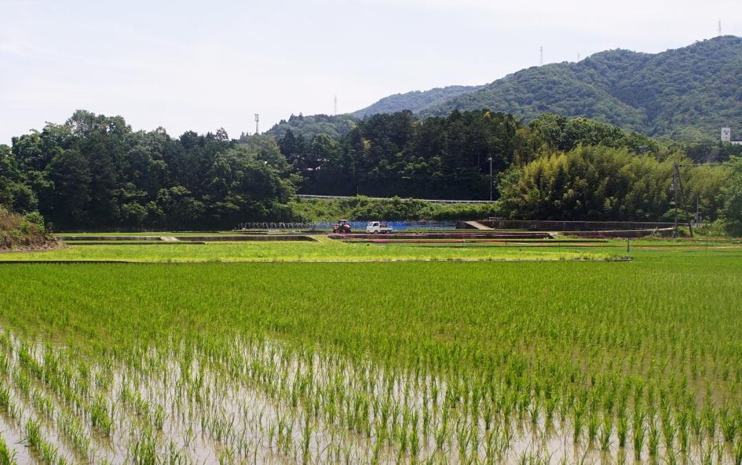 ミノルタ MINOLTA MD W.ROKKOR 28mm F2.8