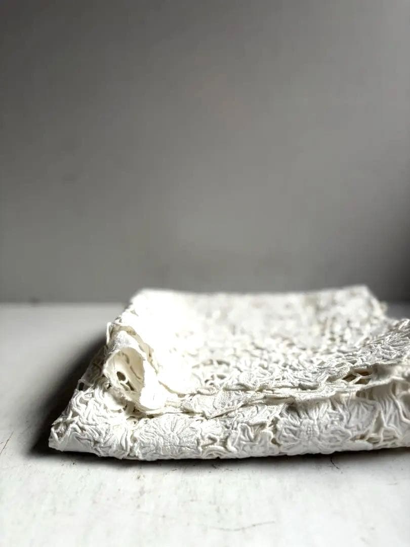 789 フランスアンティーク 美しいエンブロイダリーレース クロス 蚤の市購入