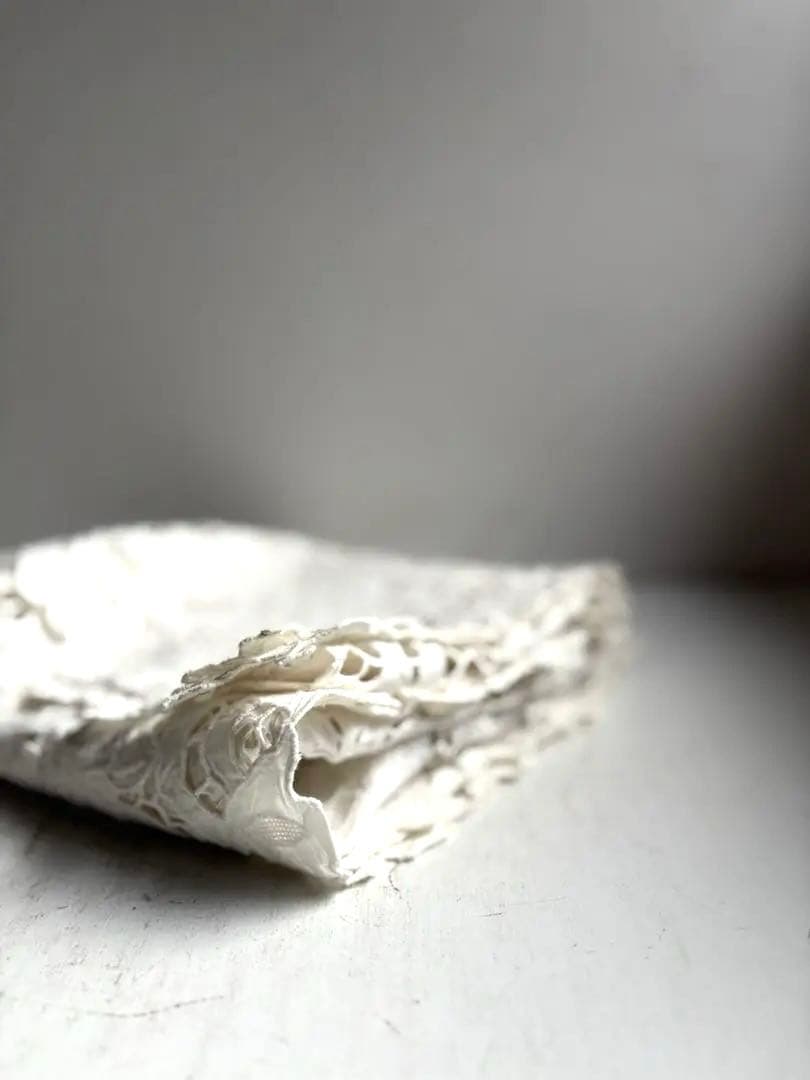 789 フランスアンティーク 美しいエンブロイダリーレース クロス 蚤の市購入