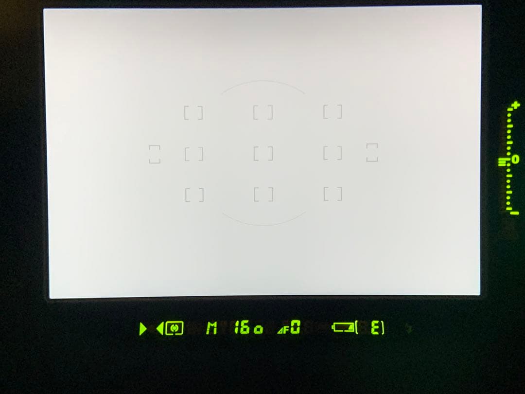 フィルムカメラ NIKON F6