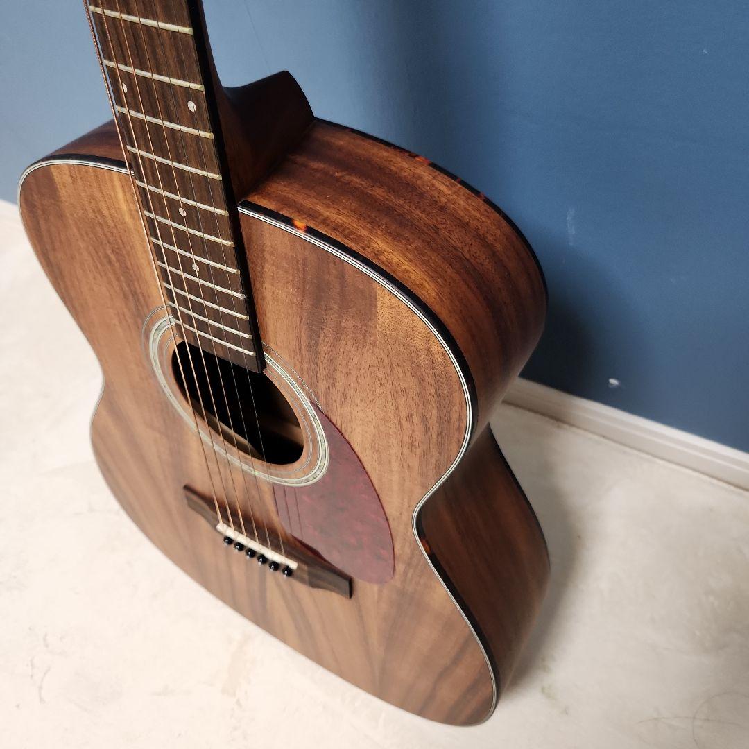 【未使用品】 キャッツアイ アコースティック・ギター カバー付き