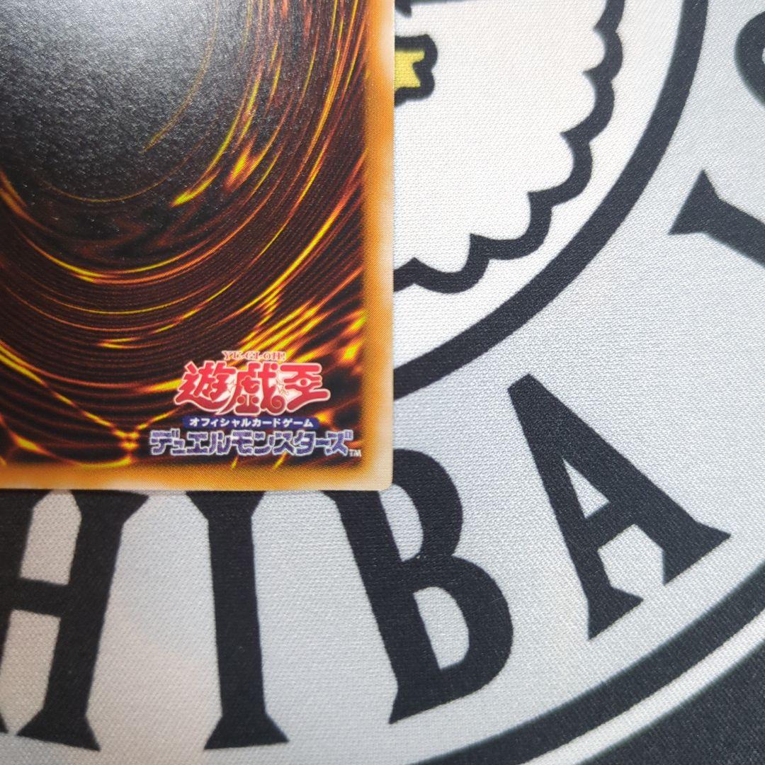 遊戯王 ダークネクロフィリア レリーフ