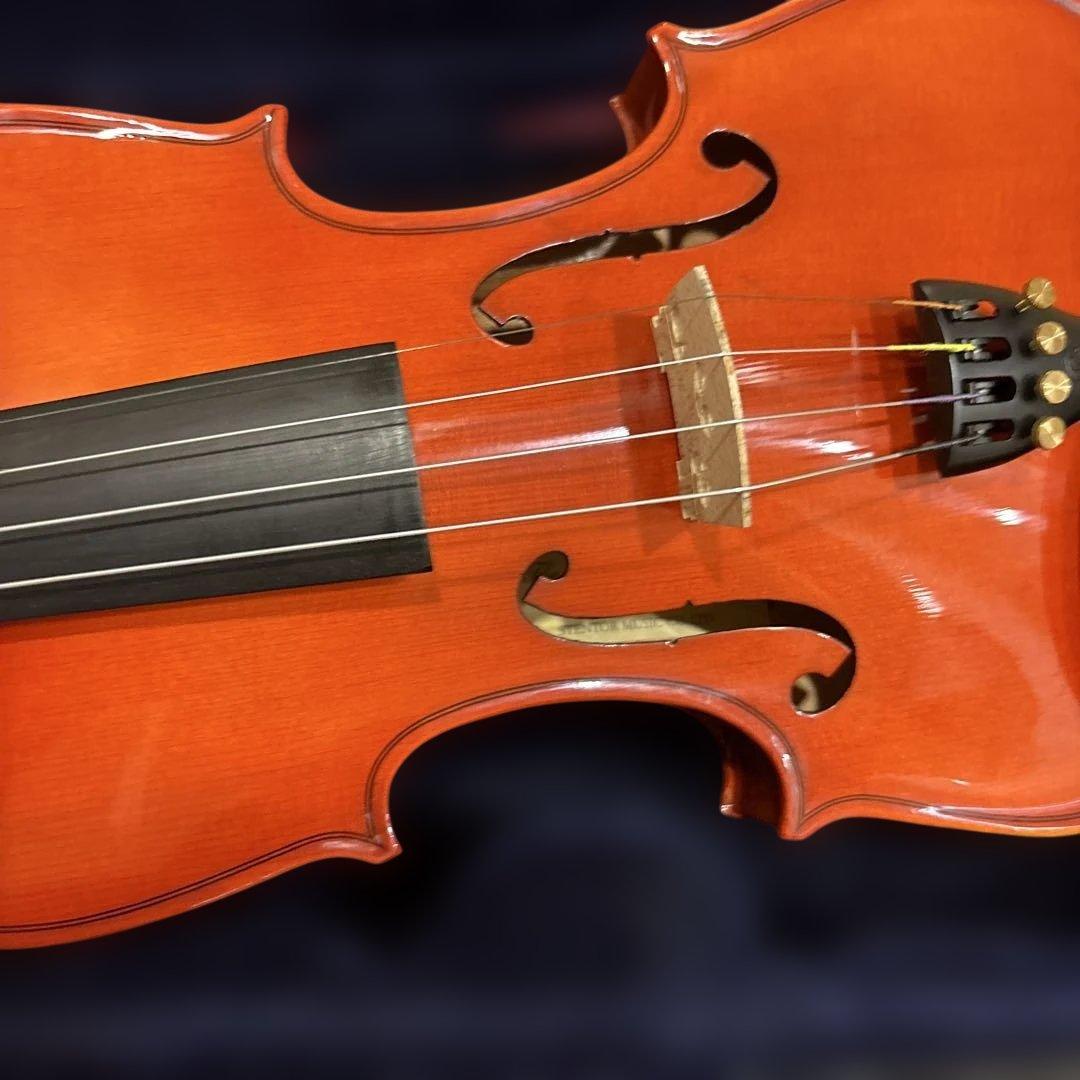 バイオリン　ステンター