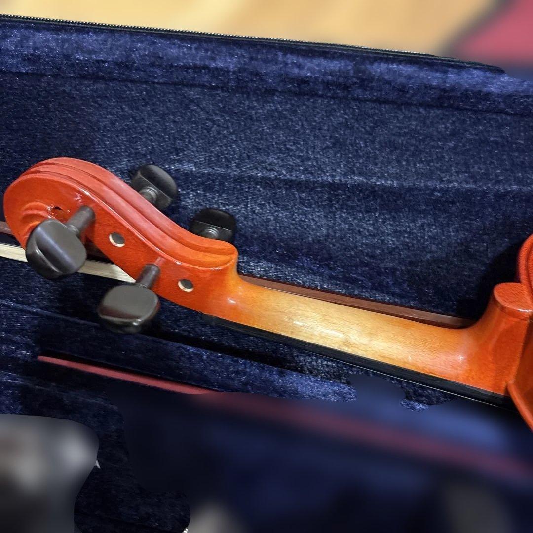 バイオリン　ステンター